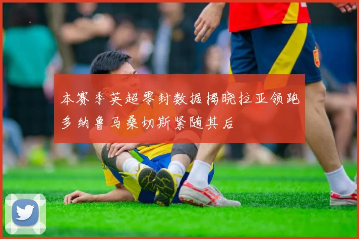 本赛季英超零封数据揭晓拉亚领跑多纳鲁马桑切斯紧随其后